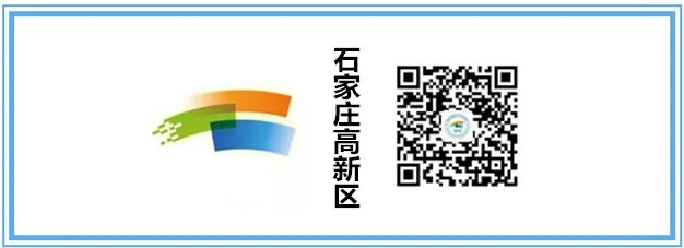 石家庄高新区3家企业成功入选2024年度石家庄市科技领军企业，总数达8家插图